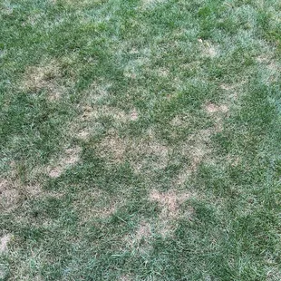 More lines where the car turned around. There are many more pictures these are two examples. Be aware!