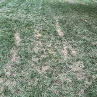 See the line the machine left!