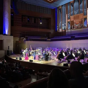 Lila Downs. Fantastic show.