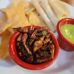 $10 app Chapulines: sautéed grasshoppers w/ garlic, lime, salt served w/ tortillas &amp; chips (12/8/23)