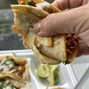 Definitely an old batch of tortillas