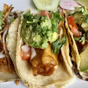 Baja California Fish