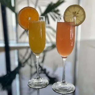 Mimosa