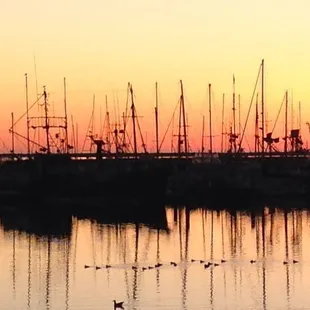 Sunsets at the harbor