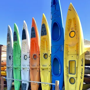 One of the many things to do at the Princeton Harbor is kayak rentals.