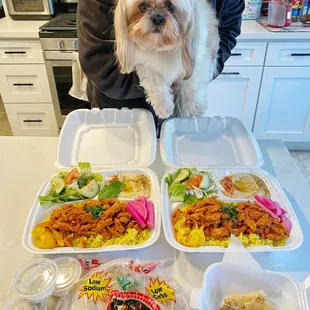Chicken Shawarma Plate