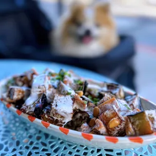 Pita