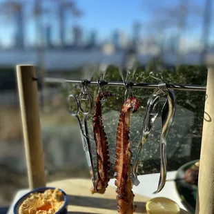 Grilled Flying Octopus