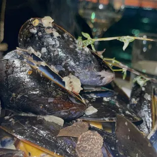 Mussels and Truffles