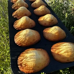 Lemon Madeleine