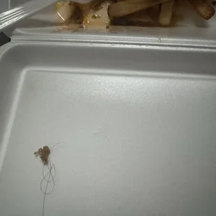 Hair in food