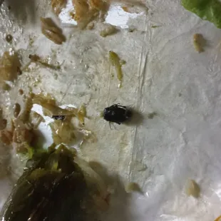 Unfortunately not discovered until almost the end of the meal. Threw out all leftovers.