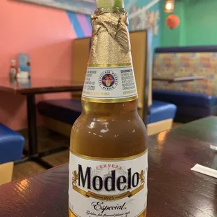 a bottle of modelo