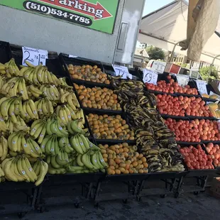 a variety of fruits and vegetables
