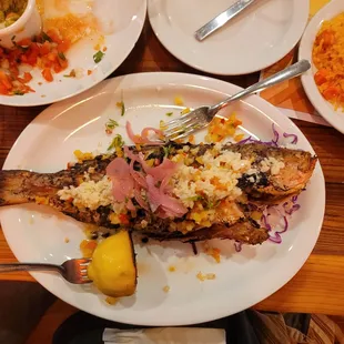 Red Snapper Caribeno