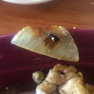A small black hair on a piece onion that was on my plate.