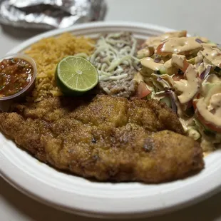 Fish plate