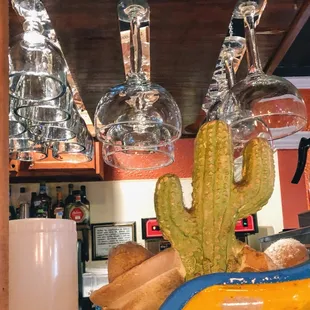 a cactus plant and wine glasses