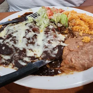 Chicken mole enchiladas