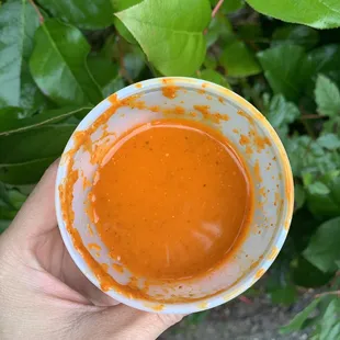 Delicious sauce.