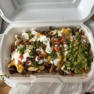 Carne Asada Fries (Small)