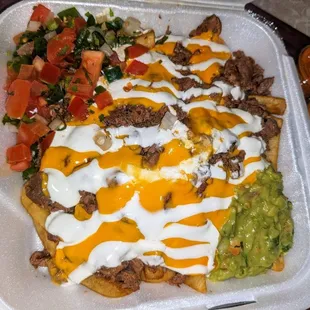 Asada Fries