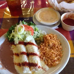 Lunch special #1 Chicken Enchiladas with chips, salsa, and a small queso
