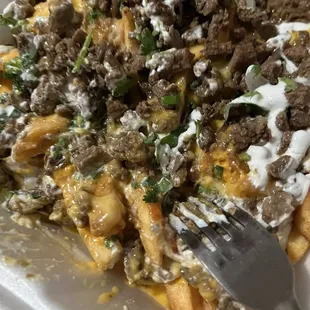 Steak fries
