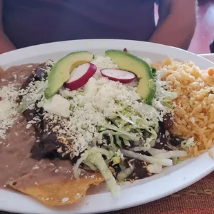 Enchiladas with mole sauce and a side of rice and beans