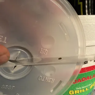 A roach in my horchata