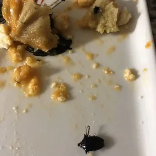 Una cucaracha en la comida