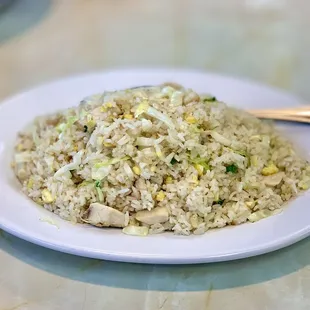 S05. Fried Rice with Salty Fish and Chicken Special