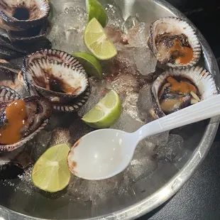 Las mejores patas de mula