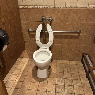 Toilet. Sit or squat