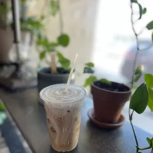 Cold brew + milk