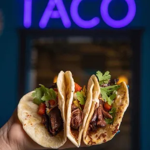 Brisket taco