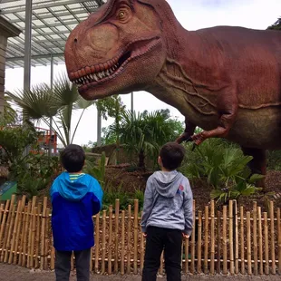 Field Trip to the California Academy of Science.