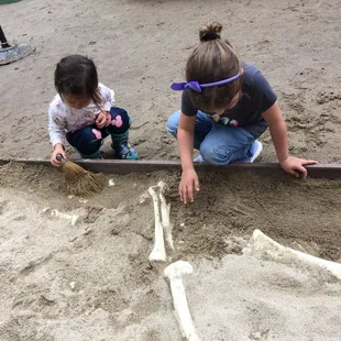 Fossils