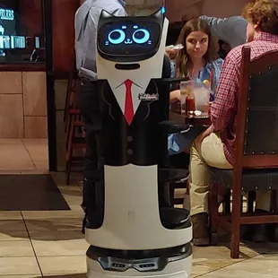 Robot waiter assistant food server