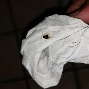 Another roach got in my way and died