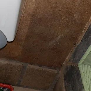 Roach on the wall by the sink