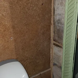 Two roaches greeting each other