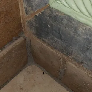 Another roach on the counter