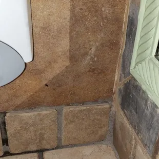 Another roach using the soap dispenser