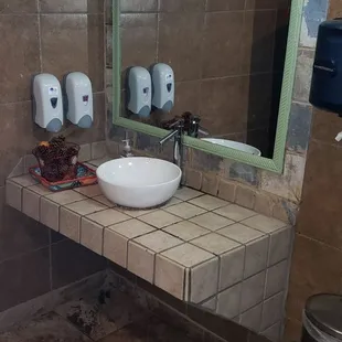 The bathroom the family of roaches were in