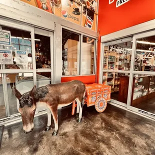 a donkey with a cart in front of it