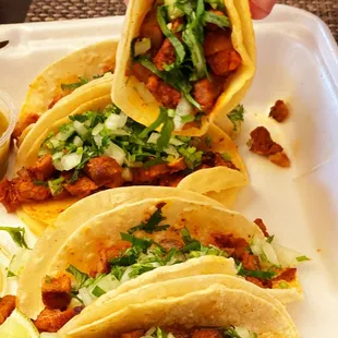 Mexican Mini Tacos Al Pastor Combo