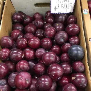 Seen 2/9/16 plums in winter, from which country?
