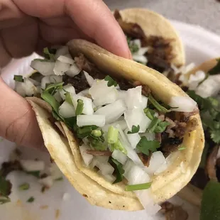 Carnita taco
