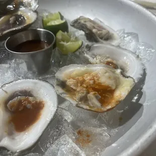 Oysters not clean and dry